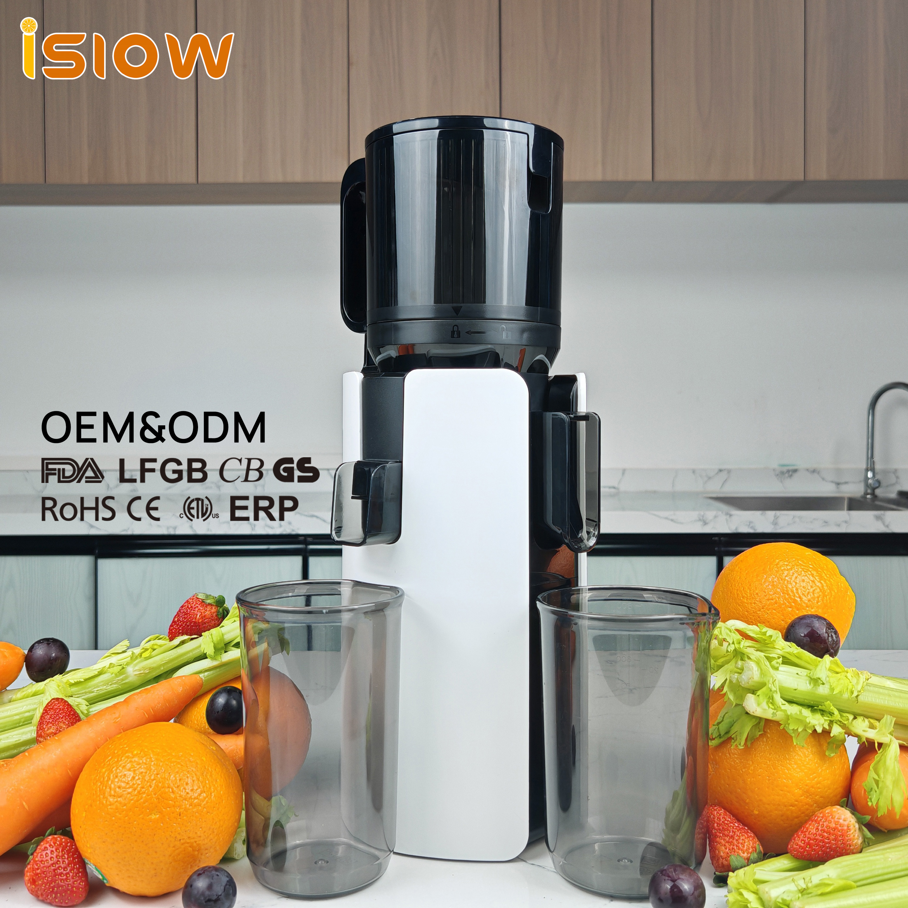 SJ-070 Home Electric Cold Press Slow Juicer Professional Juicer Extractor High Juice Yield Fruits Vegetables Slow Juicer