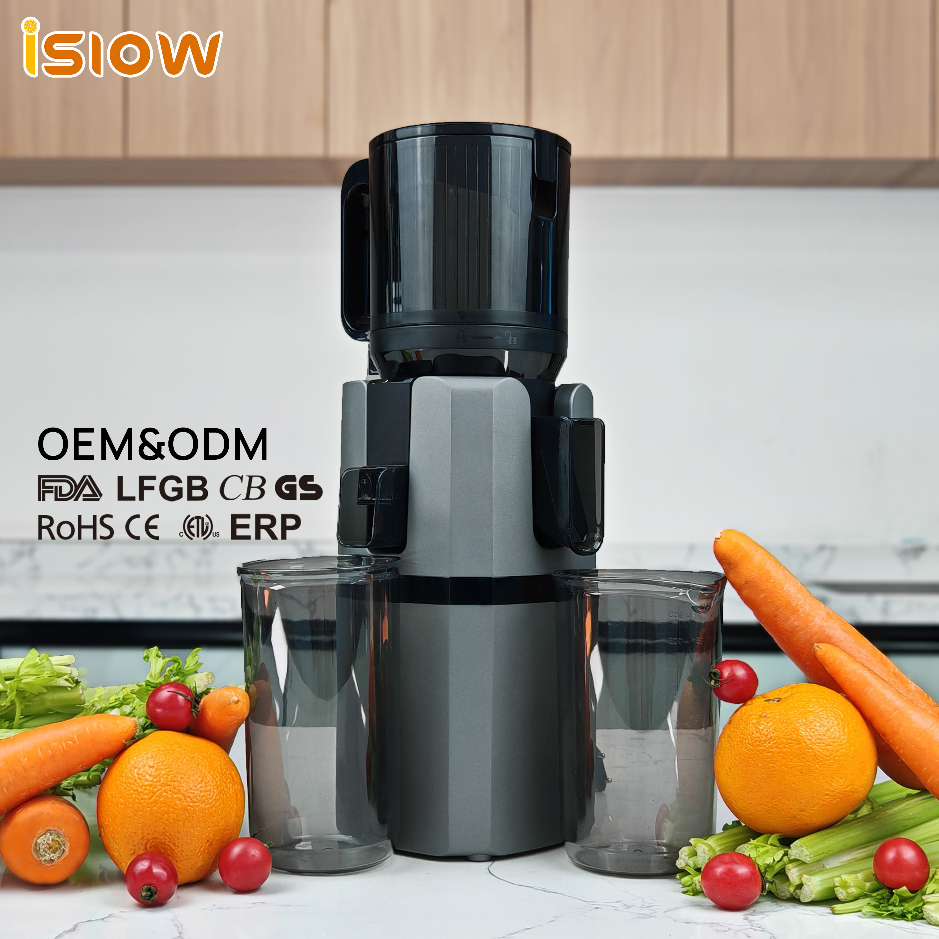 SJ-071 Multi-functional Juice Extractor Food Processor OEM/ODM Professional Cold Press Commercial Electric Slow Juicer